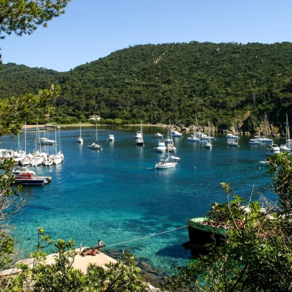 Collection Rivages