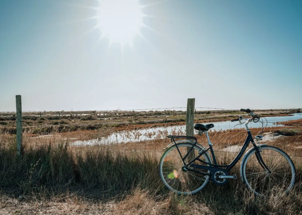 Le Phare vélo
